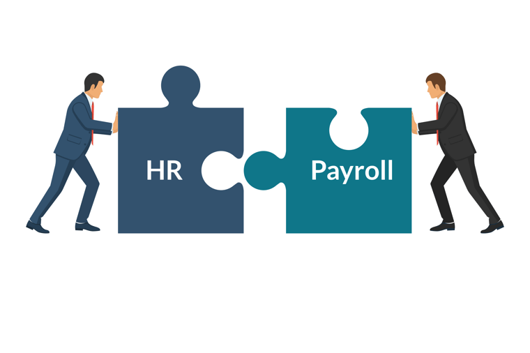 Payroll & HR software: a match made in business heaven | Appogee HR