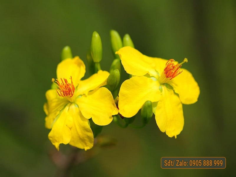 AD_4nXdlbzCsbSj_5KAA4j-NW3gxPJtGcGpdZknkhvcrmXgMuA_5vX3-JqPY5Extm1yXRTgu8jPCMWtxcz9seJJhj3Xn4Rqg3zIG7zrTUQ6yRzTBOpVvfMPV39zj2-PkZpYyhSccMkLjCA?key=b-KTm0cRCz-cXvyqfSTNba6b