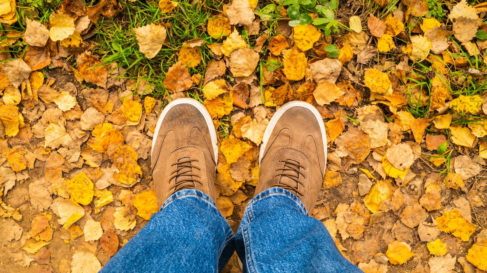 https://www.pexels.com/photo/feet-in-brown-shoes-on-autumn-leaves-path-28872881/