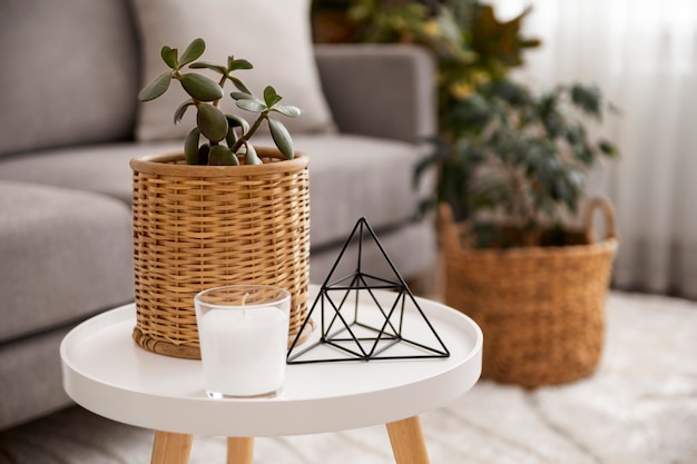 Minimalist Home Decorations for a Clean Look