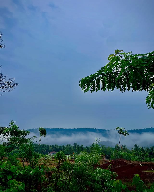 Dandeli