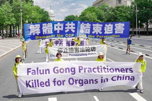 https://en.minghui.org/u/article_images/cd7d5810e1dae94fc43a36e92558373c.jpg