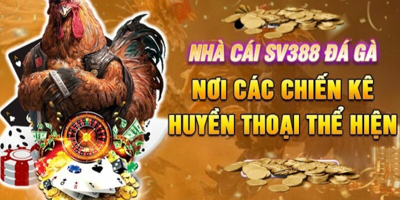 Chiến thuật đặt cược đá gà thành công cho người chơi