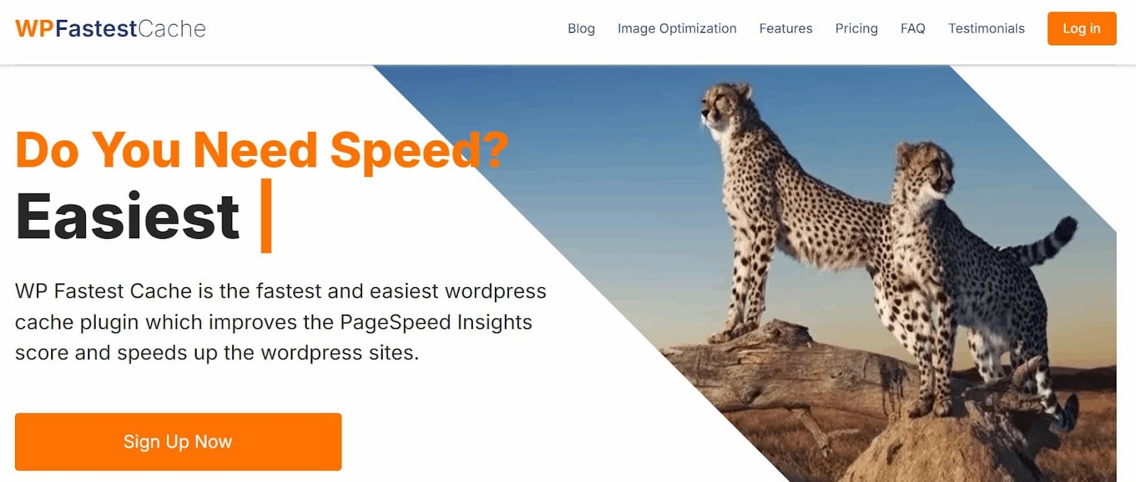 WP Fastest Cache Plugin homepage screenshot