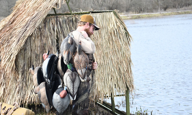 hunter with duck decoys