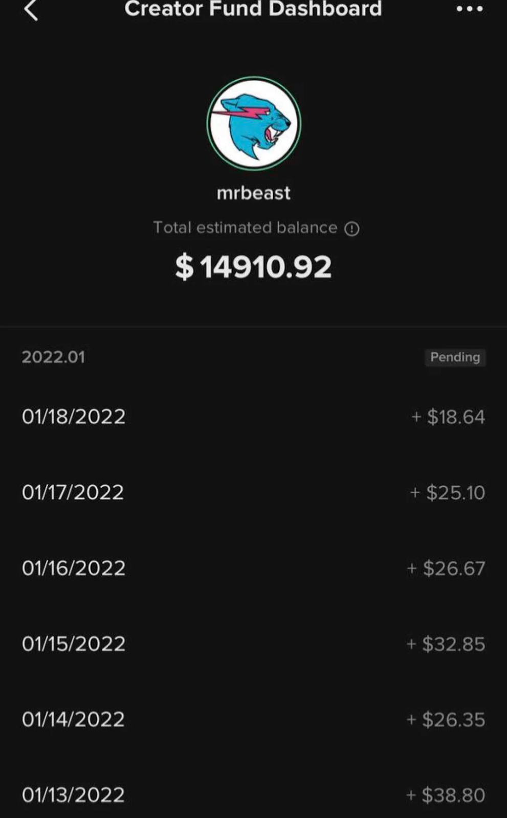 Creator fund dashboard of mrbeast