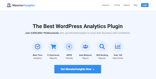 MonsterInsights website analytics tool