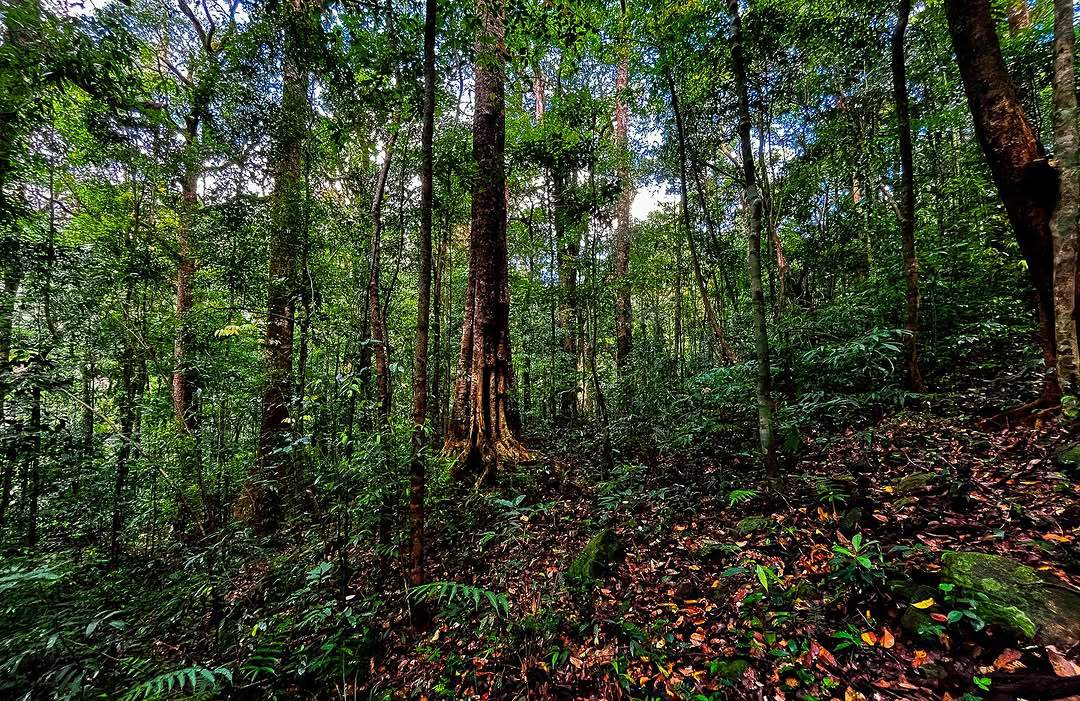 kumara parvatha trek