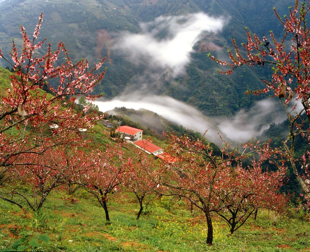 Guanwu National Forest Recreation Area