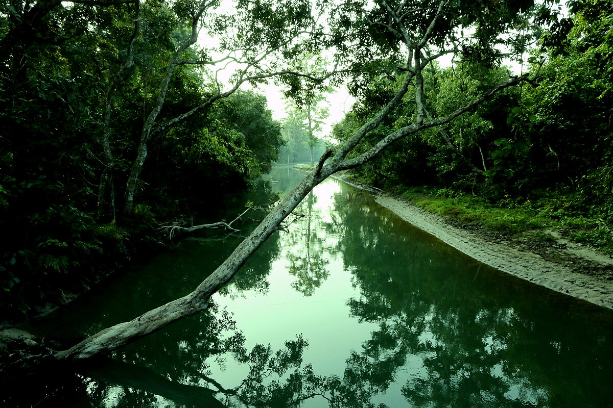 bardiya national park