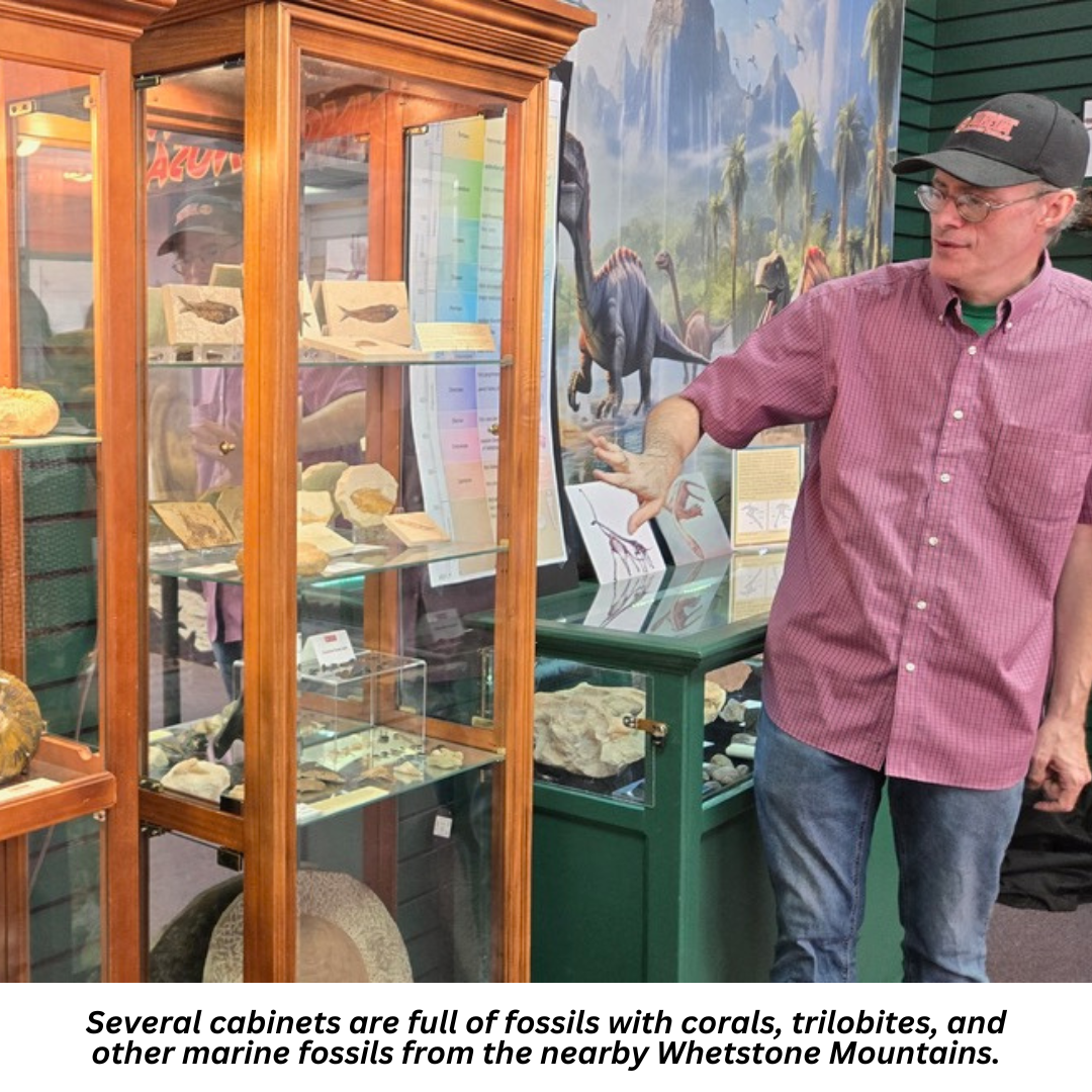 Several cabinets are full of fossils with corals, trilobites, and other marine fossils from the nearby Whetstone Mountains.