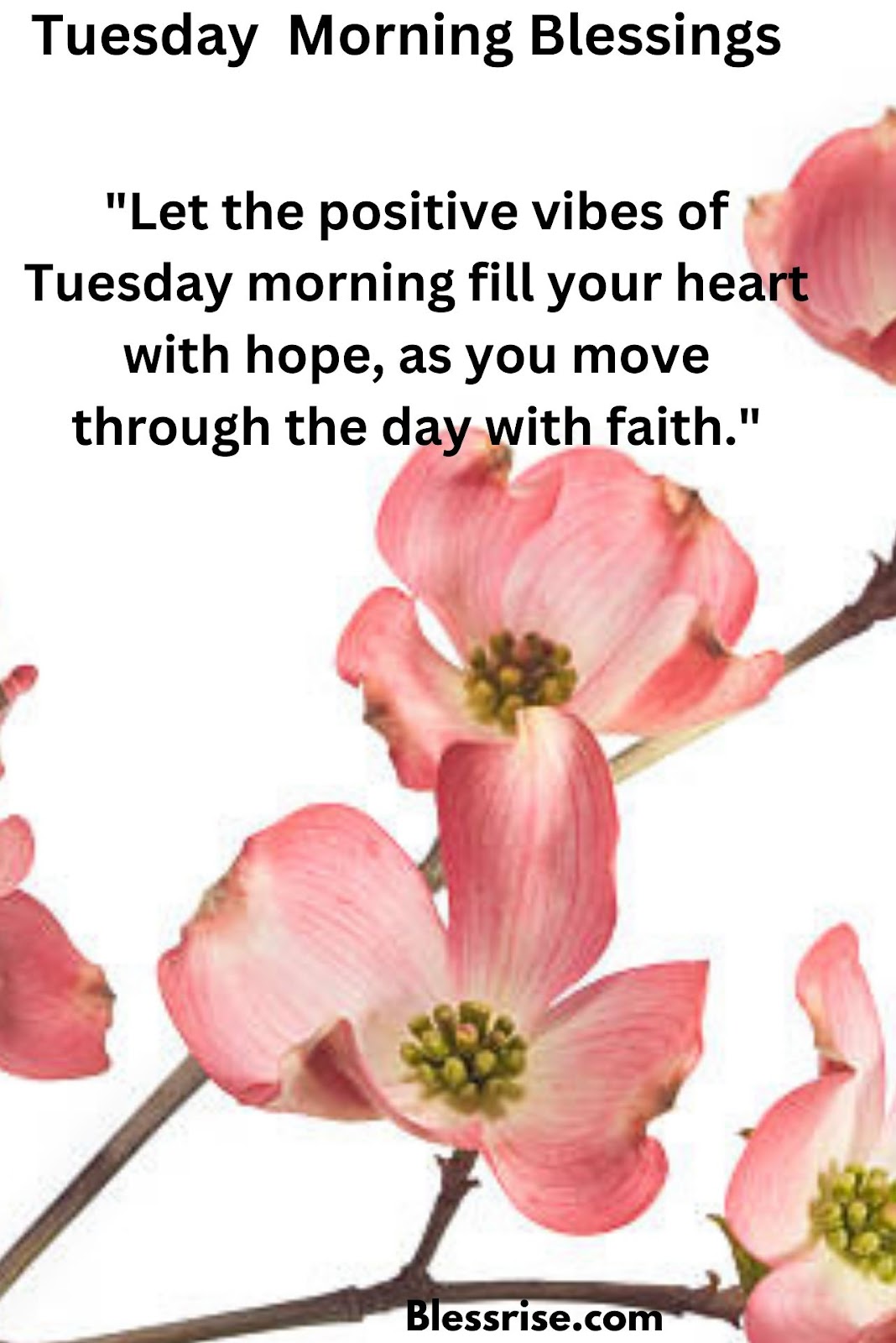 Tuesday blessings