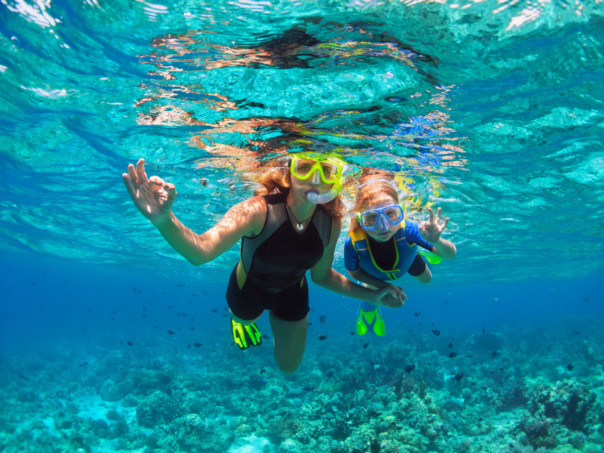 Koh Kood’s Underwater Wonders