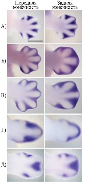 https://uchebnik.mos.ru/cms/system/atomic_objects/files/013/195/822/original/image028_1.jpg