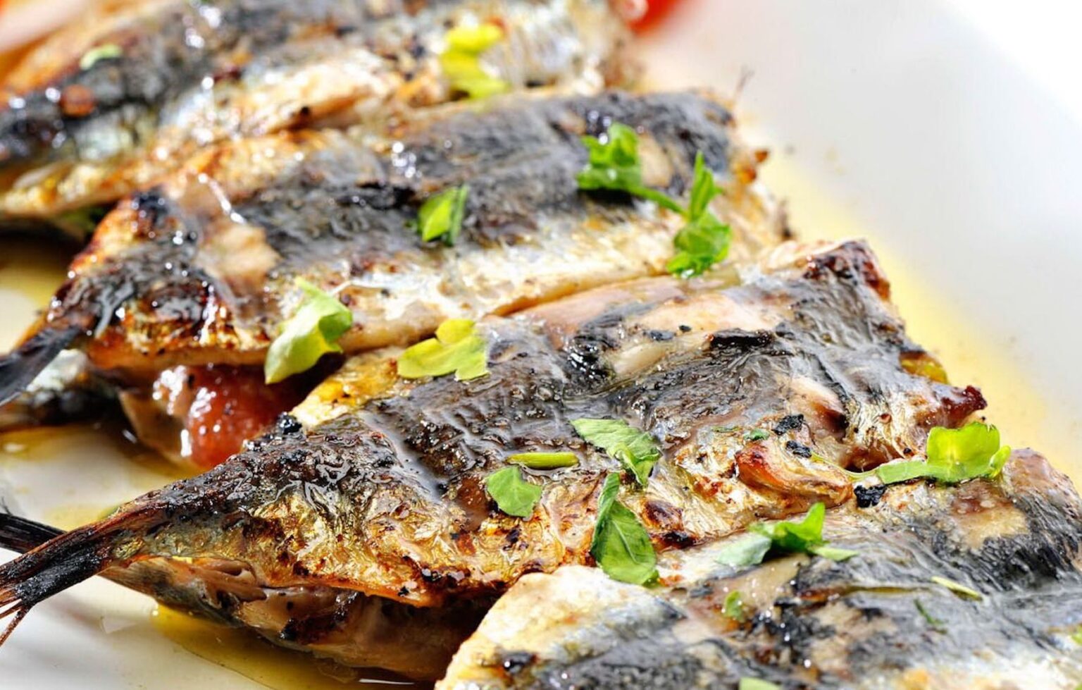 Sardines Baked in Tallow