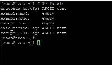 Linux File Command Examples