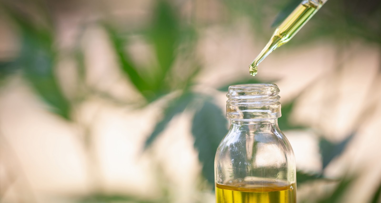 How Does THC Oil Help with Chronic Pain?