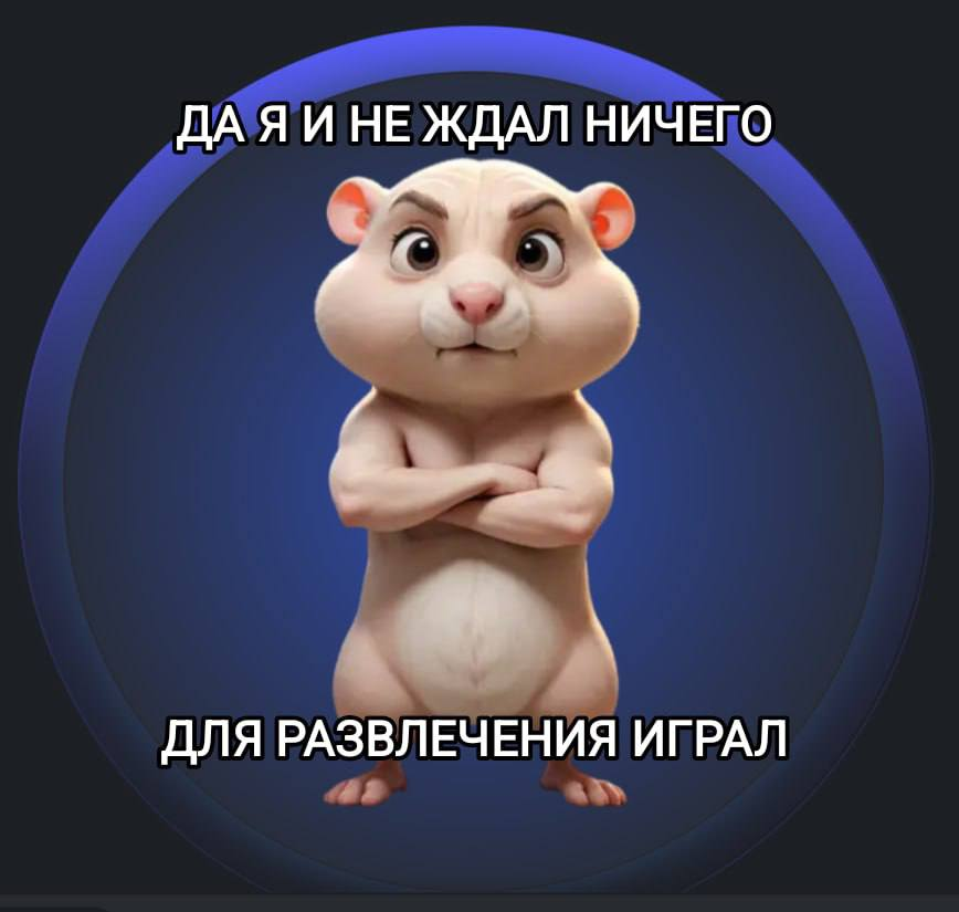 Хомяков побрили: как прошел листинг от Hamster Kombat