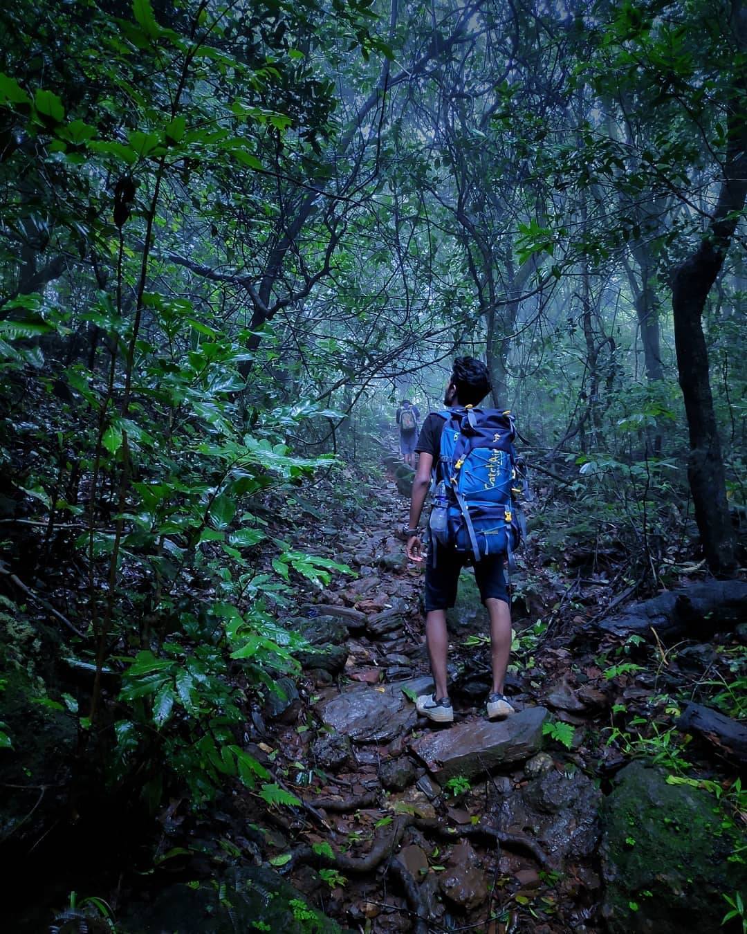 kodachadri trek