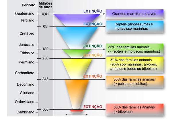 Roteiro da Semana 9: 4. Por que as espécies são extintas? | e-Disciplinas