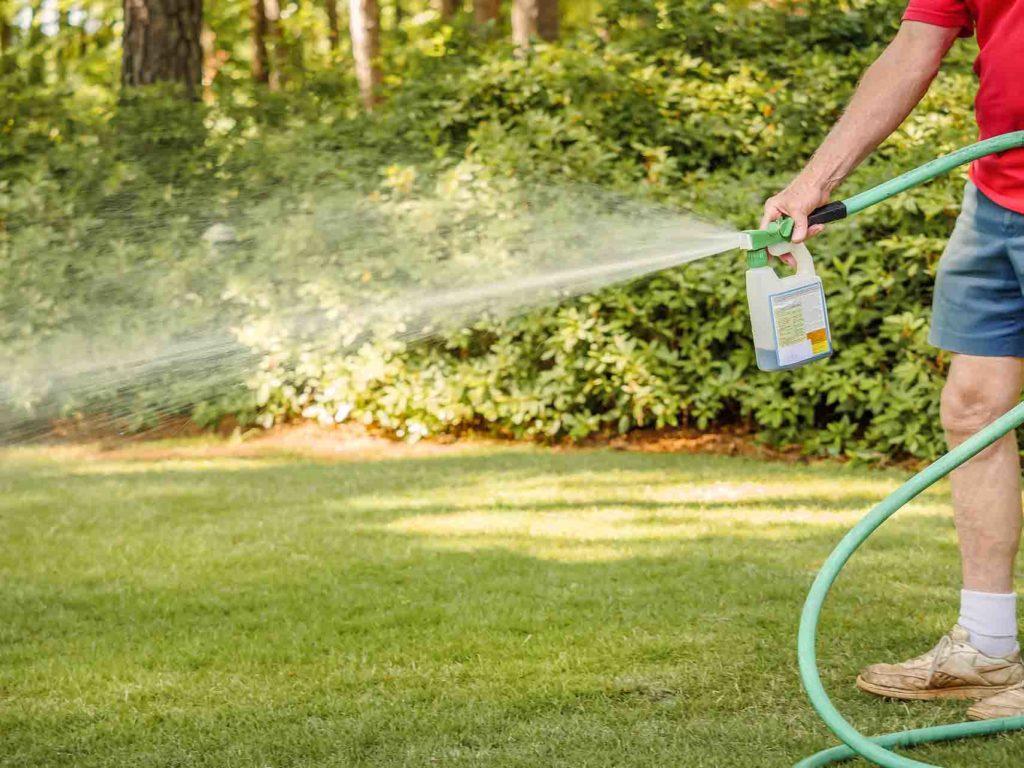 Applying Liquid Fertilizer with the help of Hose