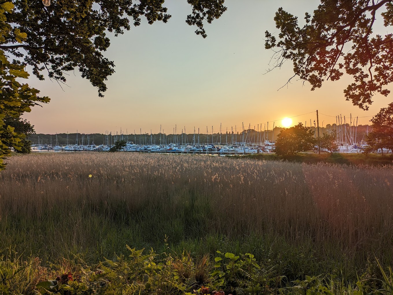 View from Banana Wharf, Universal Marina, Sarisbury Green