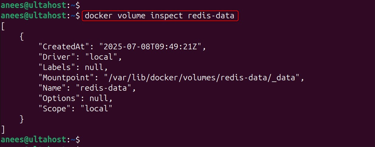 inspect redis-data