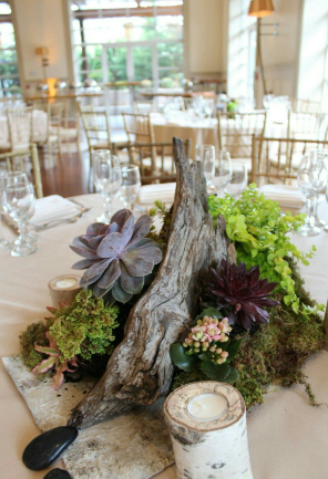 Incorporating Nature with Greenery and Succulents