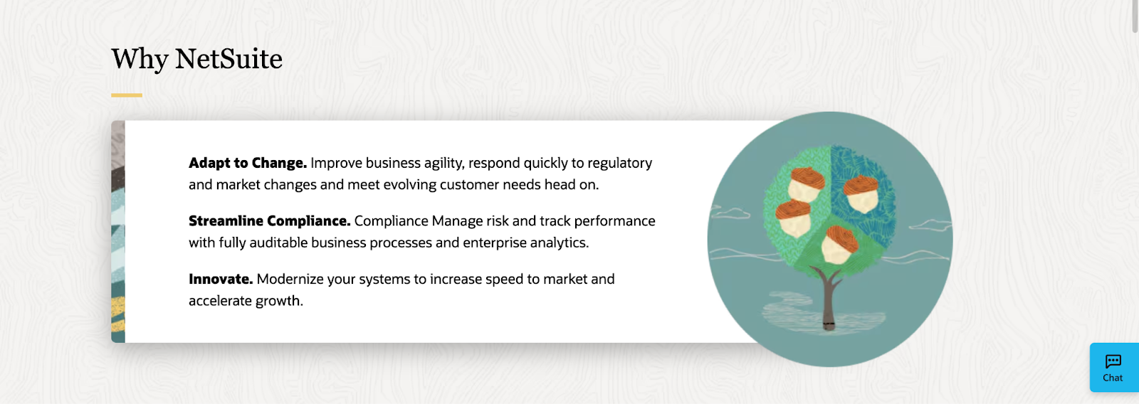 Netsuite key features