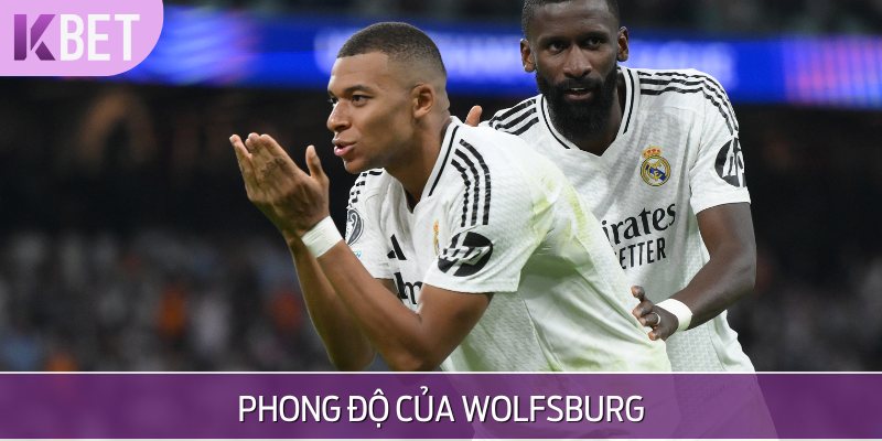 Phong độ thi đấu gần đây của Wolfsburg vs Hoffenheim