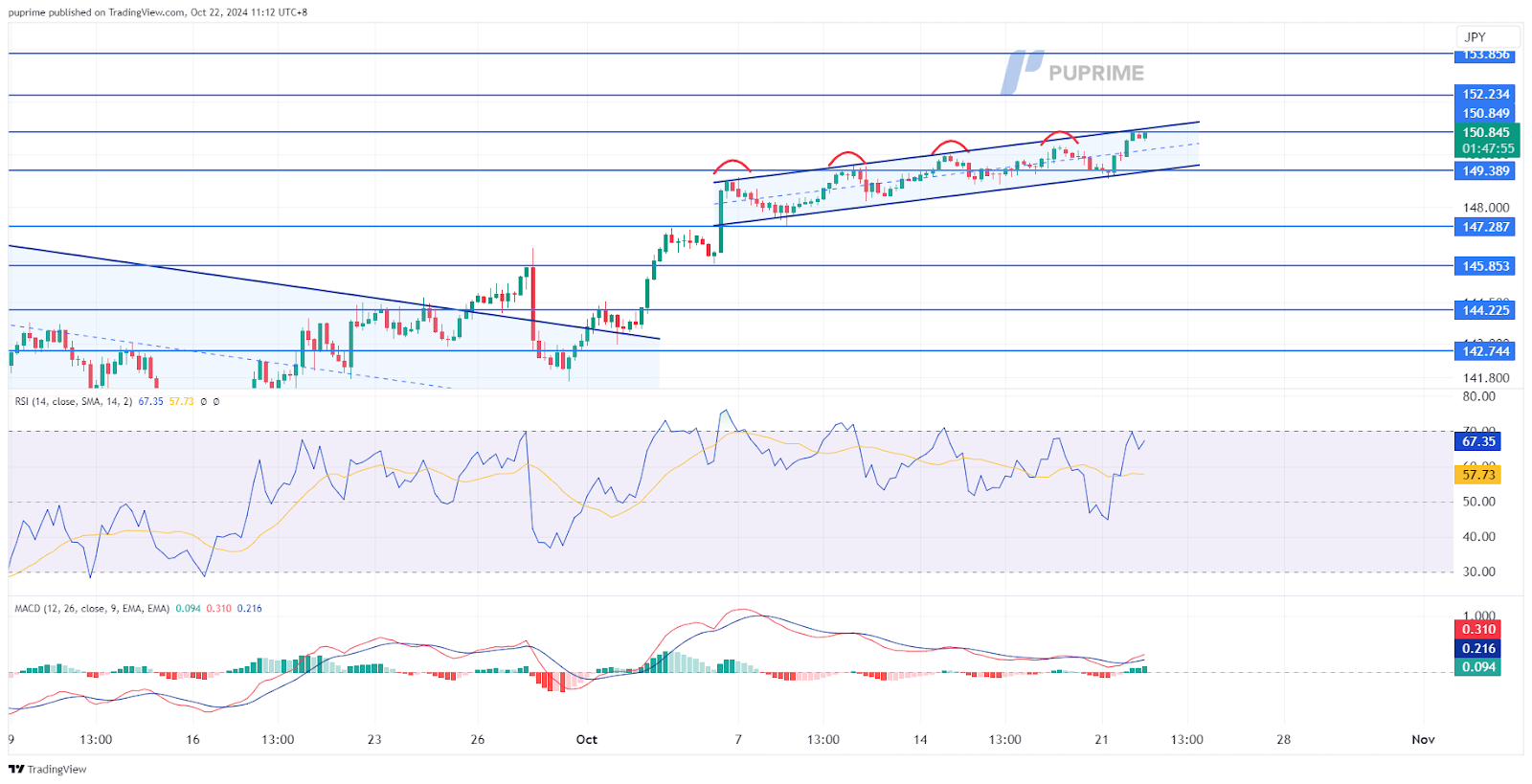 USD/JPY 22102024