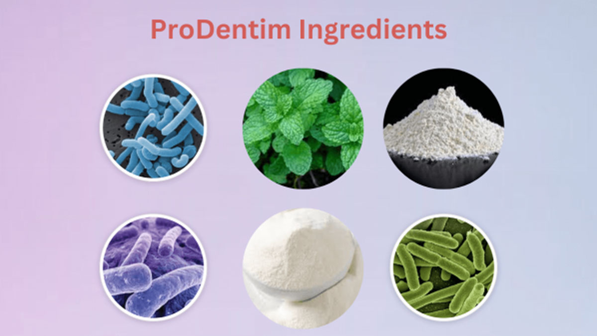 ProDentim Ingredients