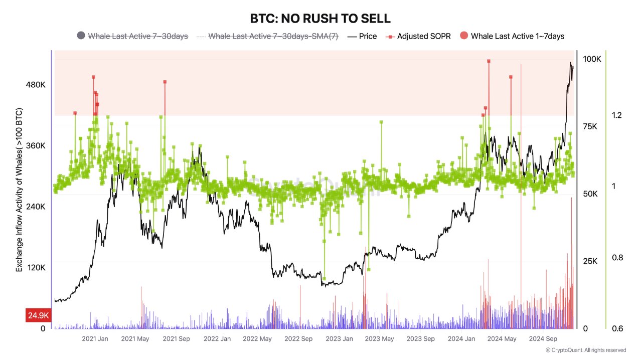 Bitcoin Holds Below $100K: Whales Wait, Market Wonders What’s Next? = The Bit Journal