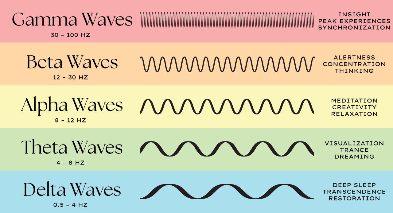 types of brain waves - sisterhood of the sea blog - lady lighthouse