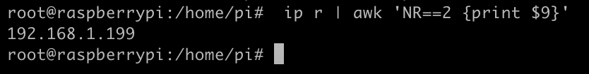 A screenshot of a Raspberry Pi's internal IP for how to make a mobile proxy.