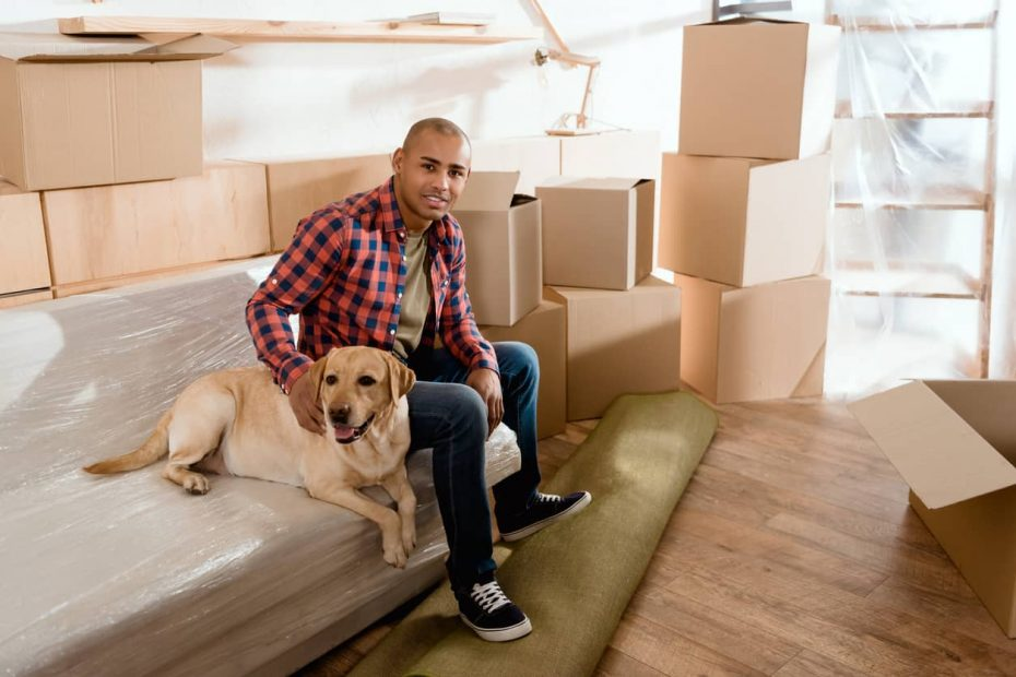 Moving with Pets