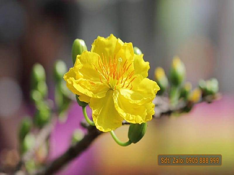 AD_4nXdnKVlpLx1Yo17yC0UuMsSKfcR5pfpnUrWQCspbap3swvW5G1n-yW5wvCMvlG7U-RGUNniDrzh7MfwQENEc3Quzlj4O8hfLc8Ot6sPYS2SpOkLBOus9GbMc0dGKEXgW_r0LSdHzfQ?key=b-KTm0cRCz-cXvyqfSTNba6b