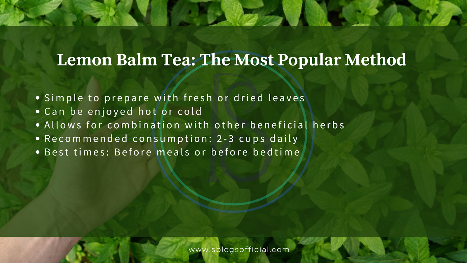 Explaining How to Take Lemon Balm for Weight Loss, by defining the most popular method for making lemon balm tea. 