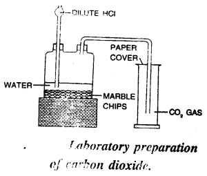 Selina Concise Chemistry Class 8 ICSE Solutions - Water 9
