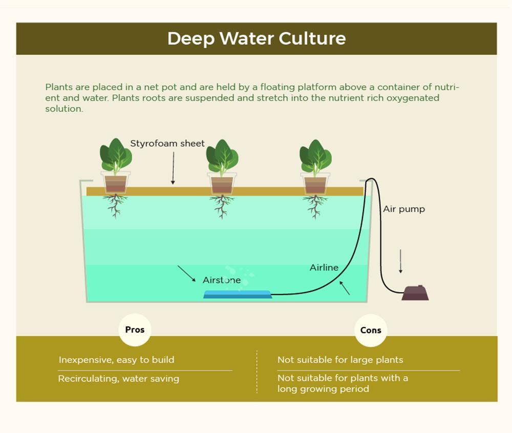 Infographic: The Art of Hydroponic Gardening | RECOIL OFFGRID