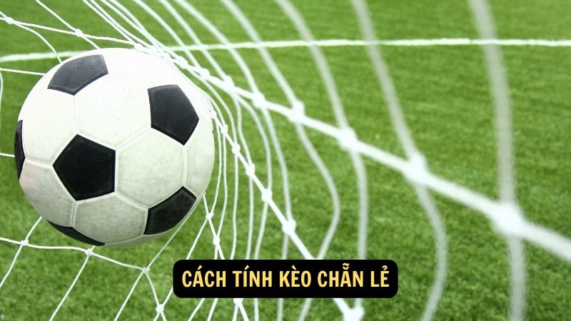 Cách tính kèo chẵn lẻ