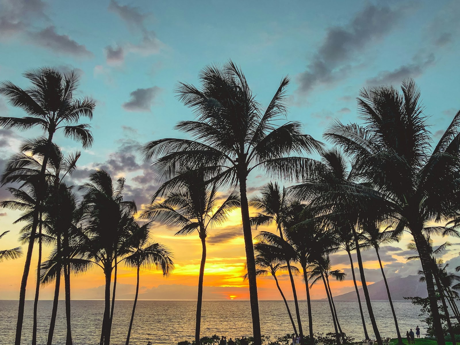  Romantic sunset dinner in Maui with  ocean views.