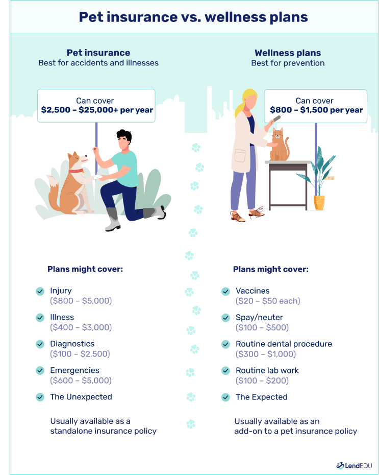 An infographic showing the difference between pet insurance and wellness plans