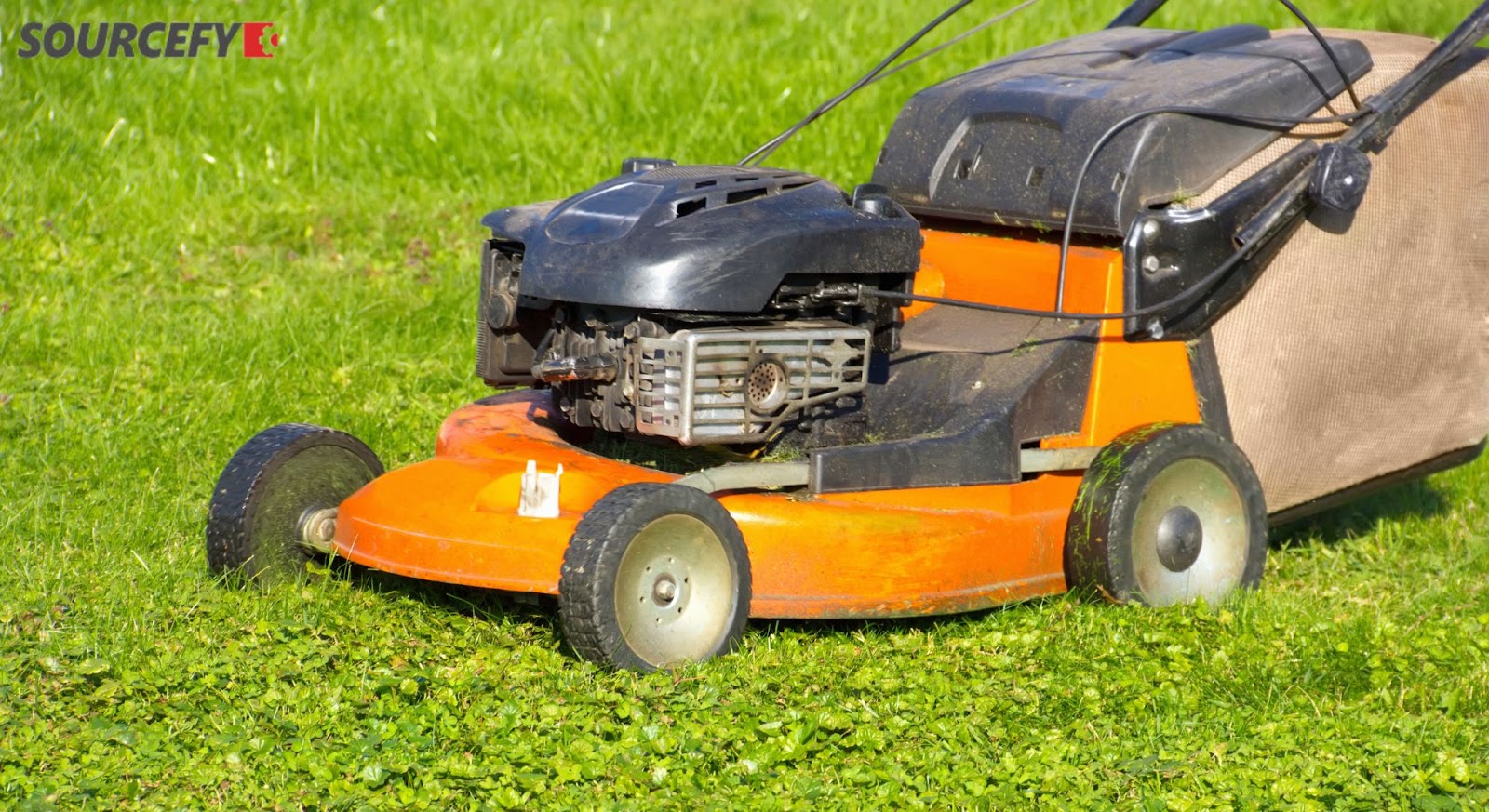 Gas-Powered Push Mowers