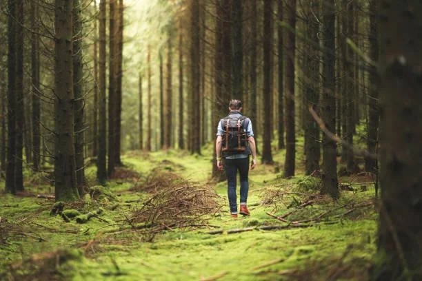 10 Places That Show Nature’s Grace, graceful nature, elegant landscapes, nature, landscape, smooth scenery, soft visuals