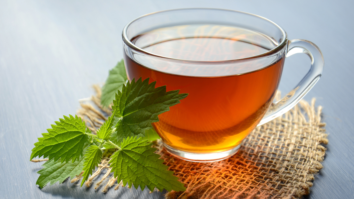 How To Incorporate Mint Into Your Daily Routine