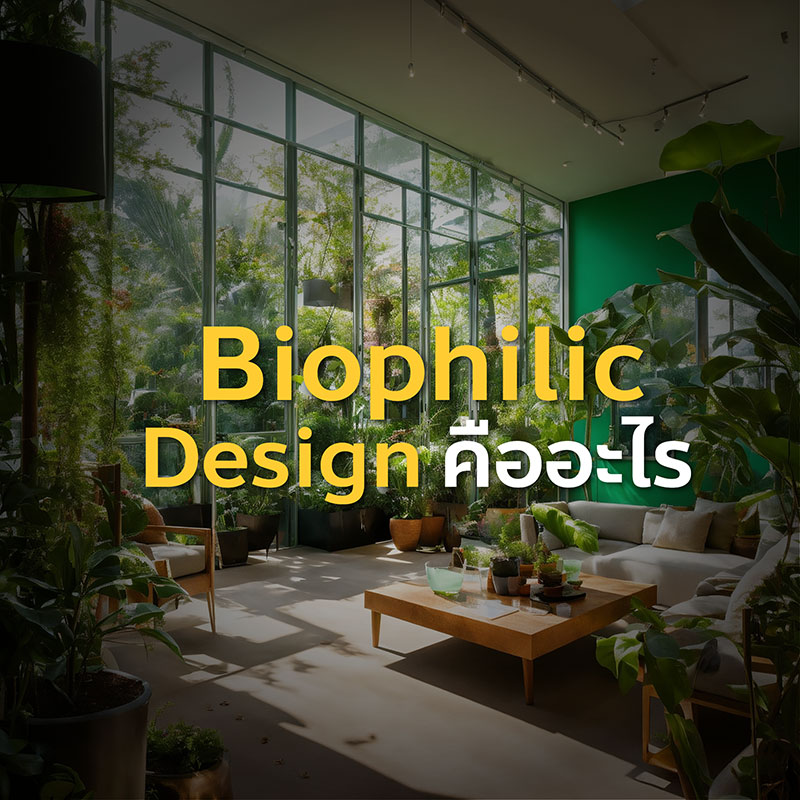 Biophilic Design คืออะไร?