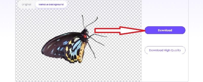 How to Remove Background With Vidnoz AI Step 3