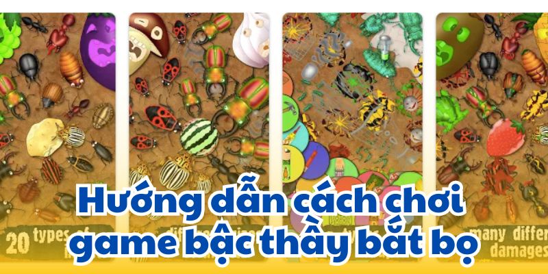 Hướng dẫn cách chơi game bậc thầy bắt bọ