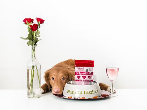 Diamond Naturals Dog Food